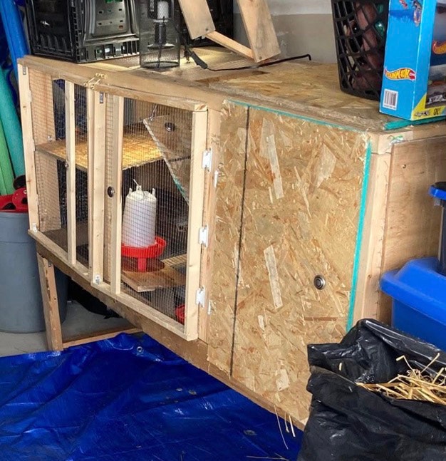 Quail Cage / Animal coop