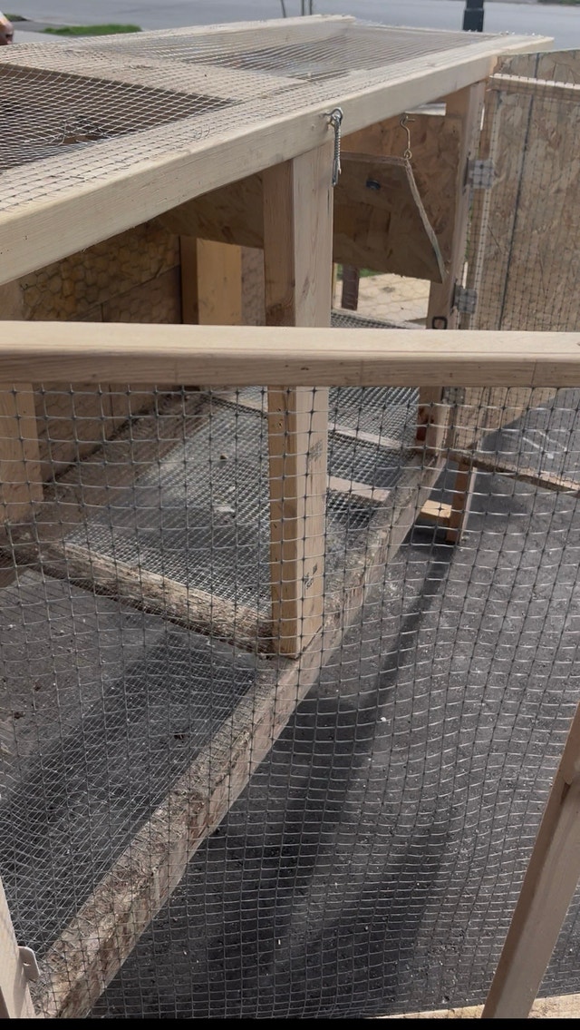Quail Cage / Animal coop - photo 5