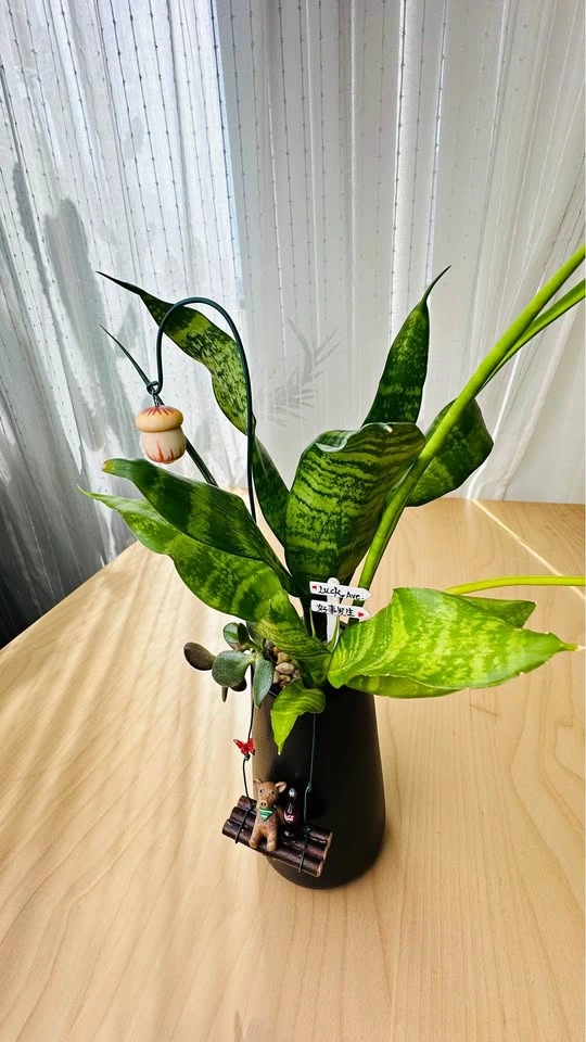 🌱 Spring on sale/ cute plant arrangement