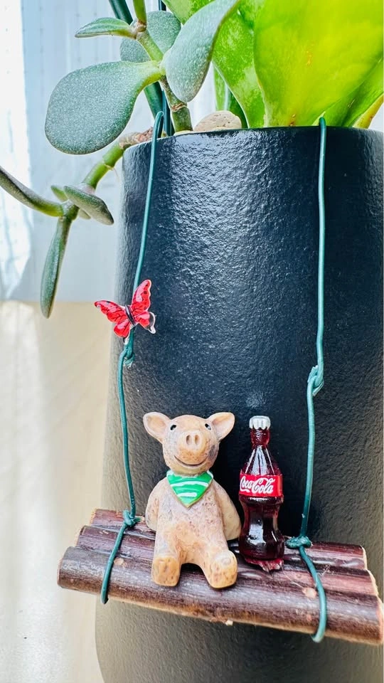 🌱 Spring on sale/ cute plant arrangement - photo 2
