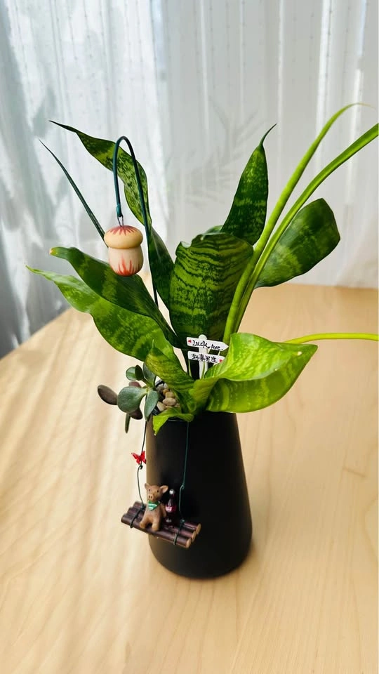 🌱 Spring on sale/ cute plant arrangement - photo 5