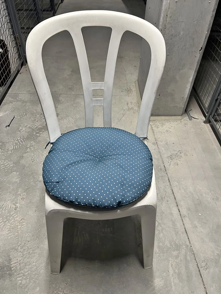 4 Outdoor Chairs