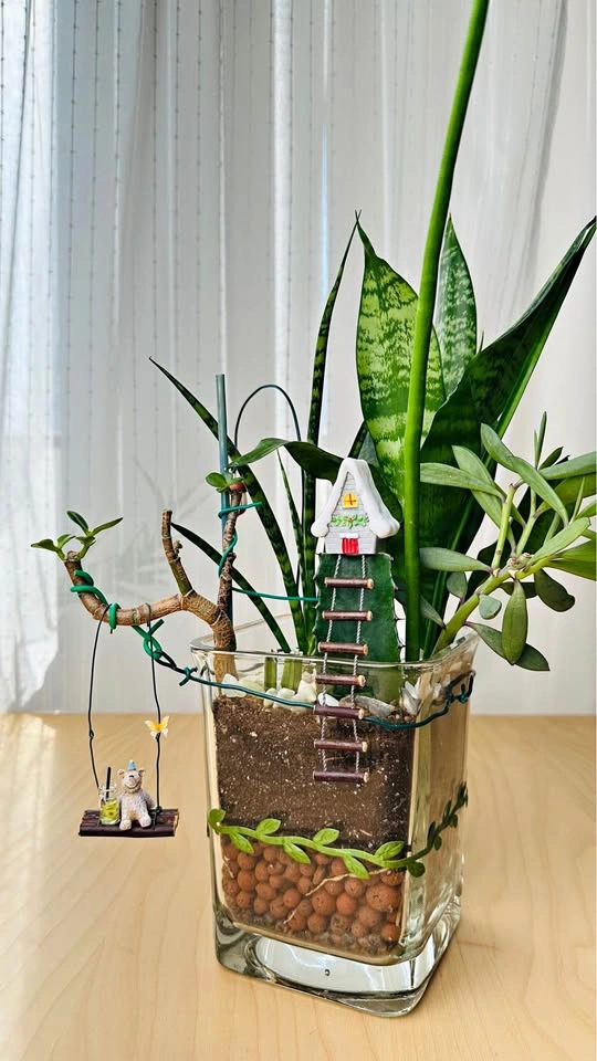 🌱 Spring Sale: Unfinished Plants Half Price