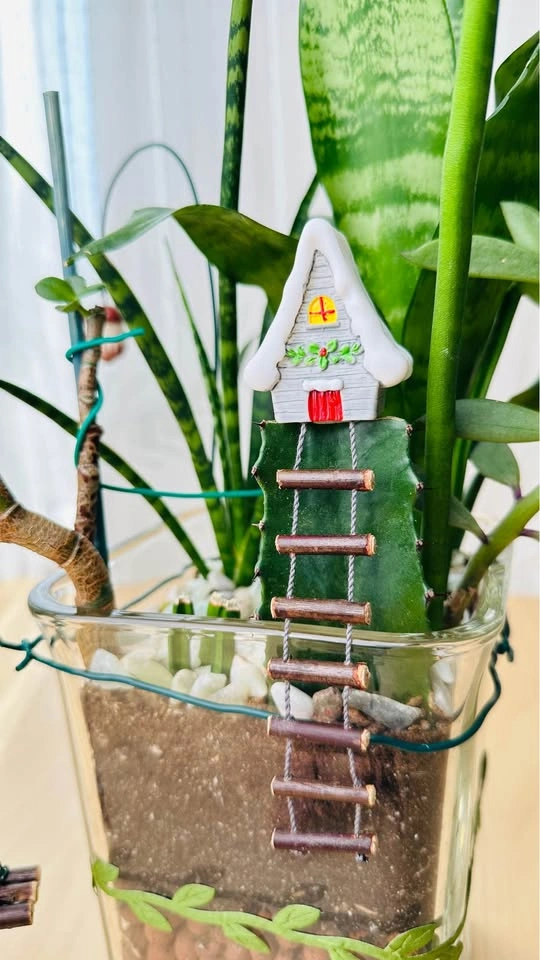 🌱 Spring Sale: Unfinished Plants Half Price - photo 3