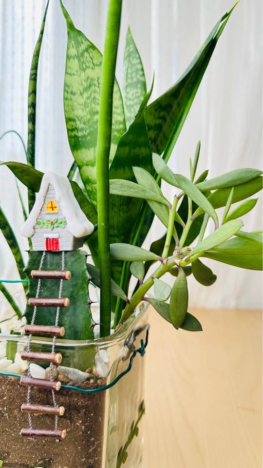 🌱 Spring Sale: Unfinished Plants Half Price - photo 5