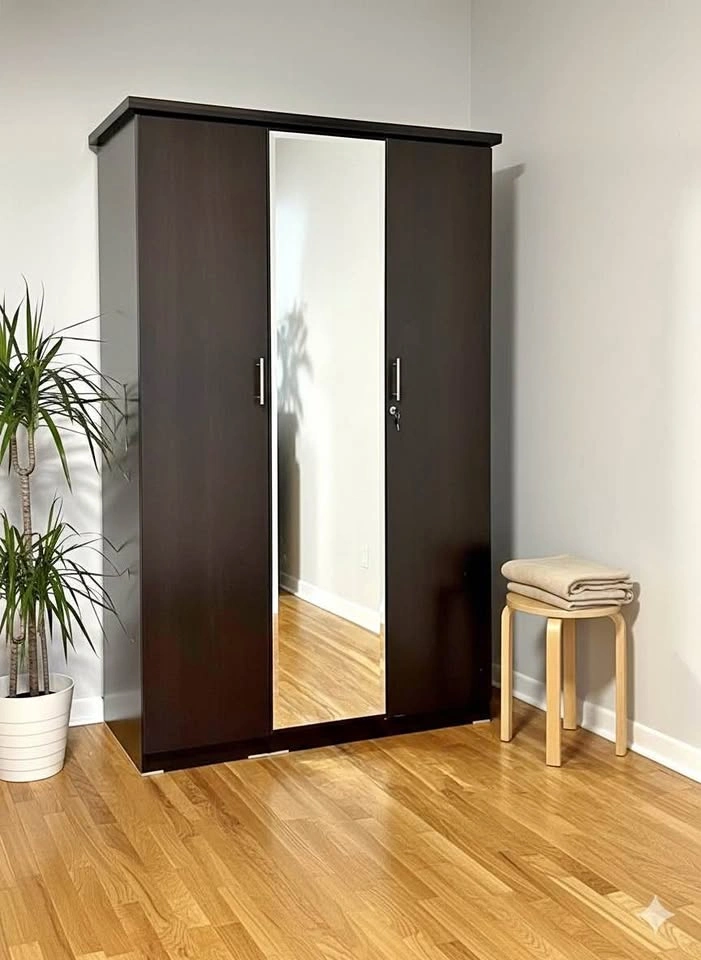 Dark Brown Wooden Wardrobe with Mirror
