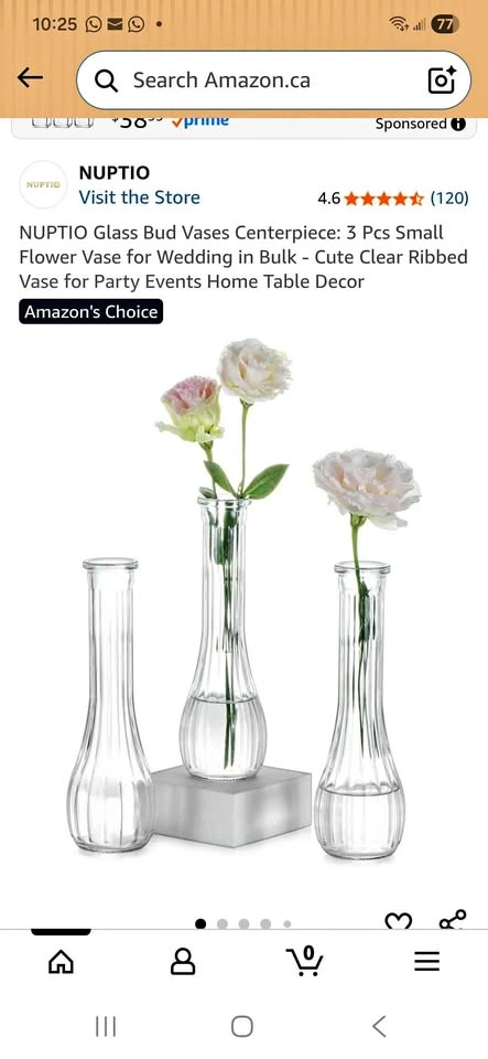 Moving Sale: Glass Vases BNIB