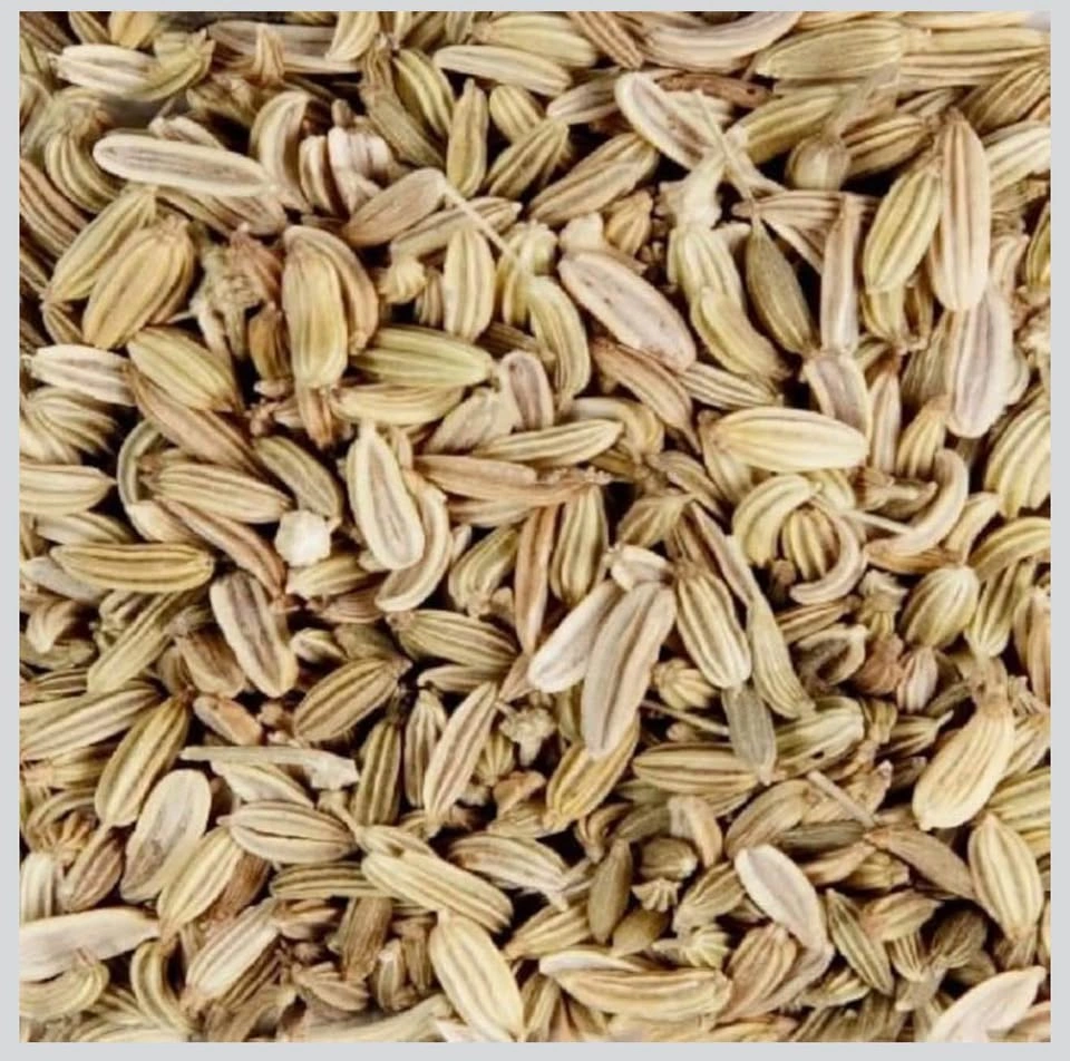 NEW & SEALED 1lb Organic Fennel Seeds – Splendor Garden (454g) - photo 3