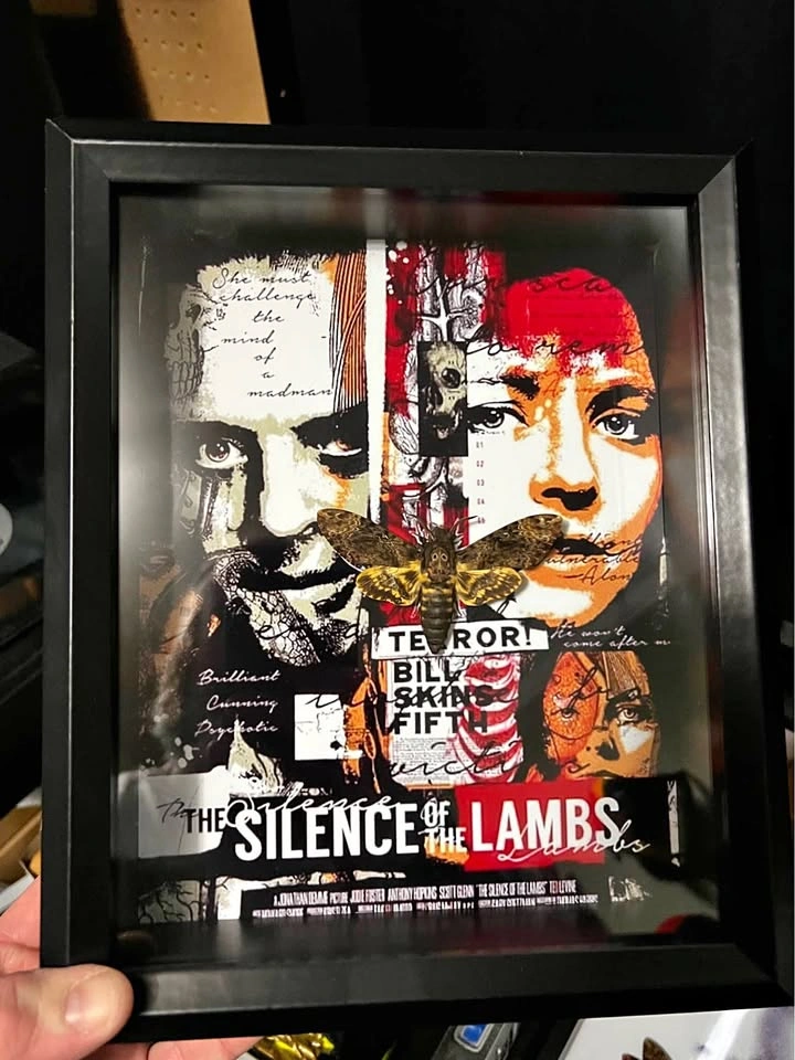 Silence of the Lambs 8x10 Shadow Box w/ Death's Head Moth
