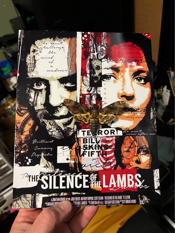 Silence of the Lambs 8x10 Shadow Box w/ Death's Head Moth - photo 2
