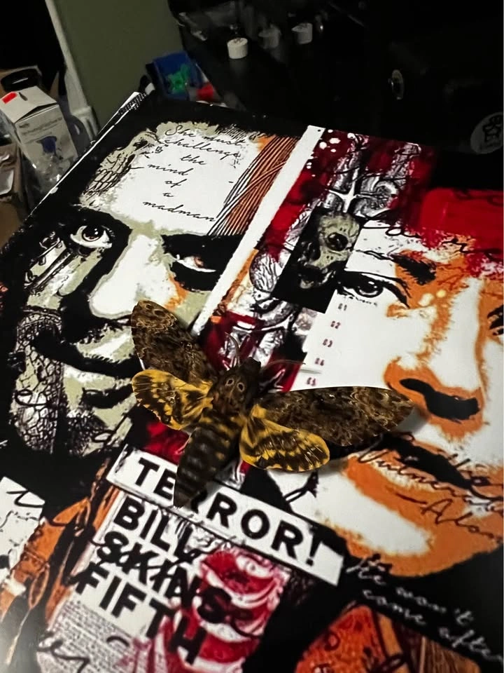 Silence of the Lambs 8x10 Shadow Box w/ Death's Head Moth - photo 4