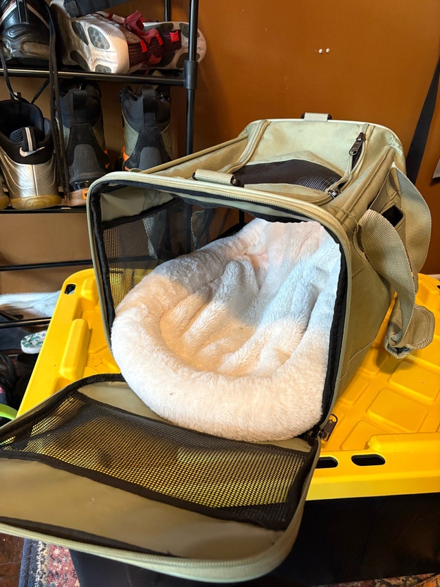 Small pet carrier