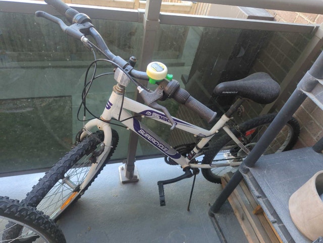 Supercycle Bicycle