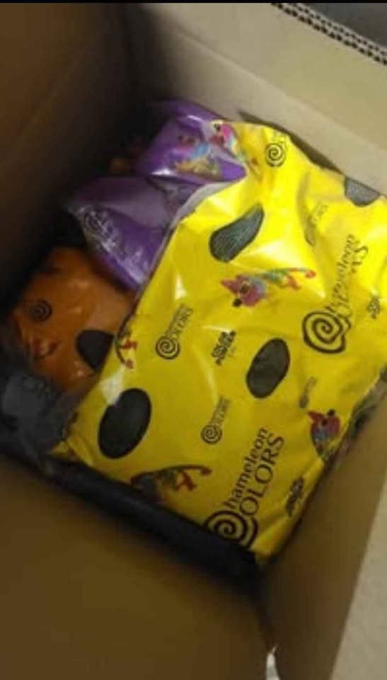Colors of Holi Powder, 50 Pounds (5 Pounds per Bag) - photo 3