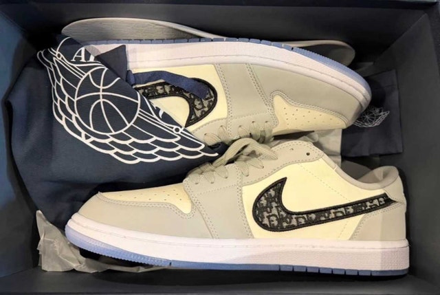 Dior Jordan 1s