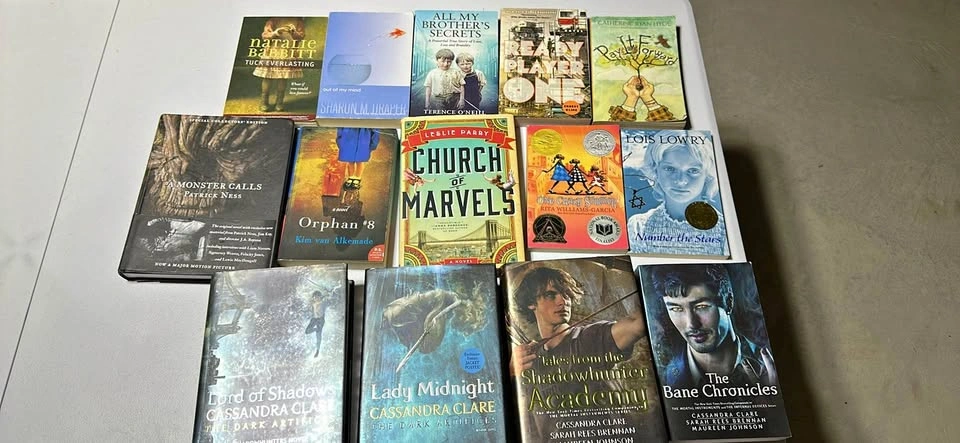 Multiple Books for Sale - Discount on Bundles