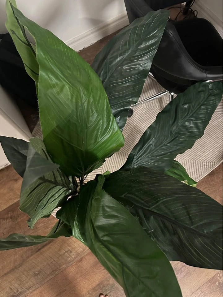 Faux plant perfect for indoor (house plant) - photo 4
