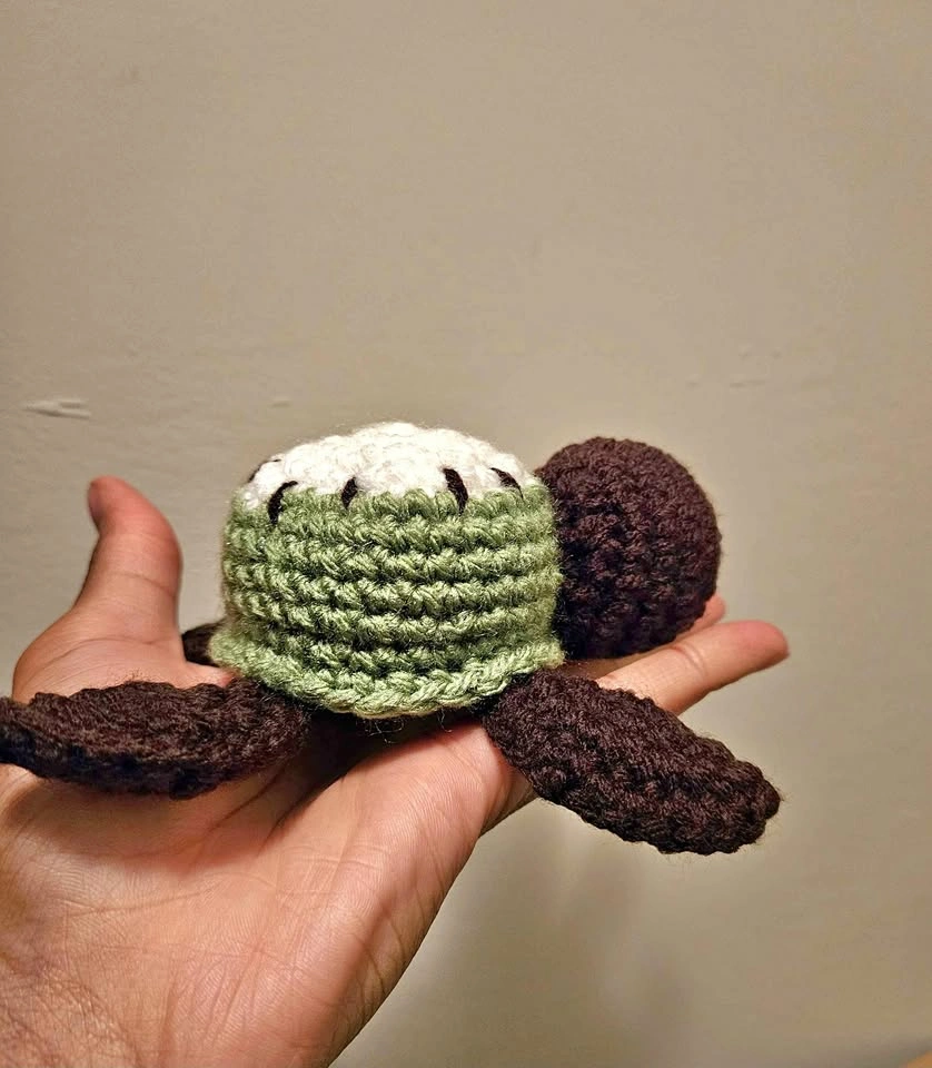 Kiwi Turtle 🌱