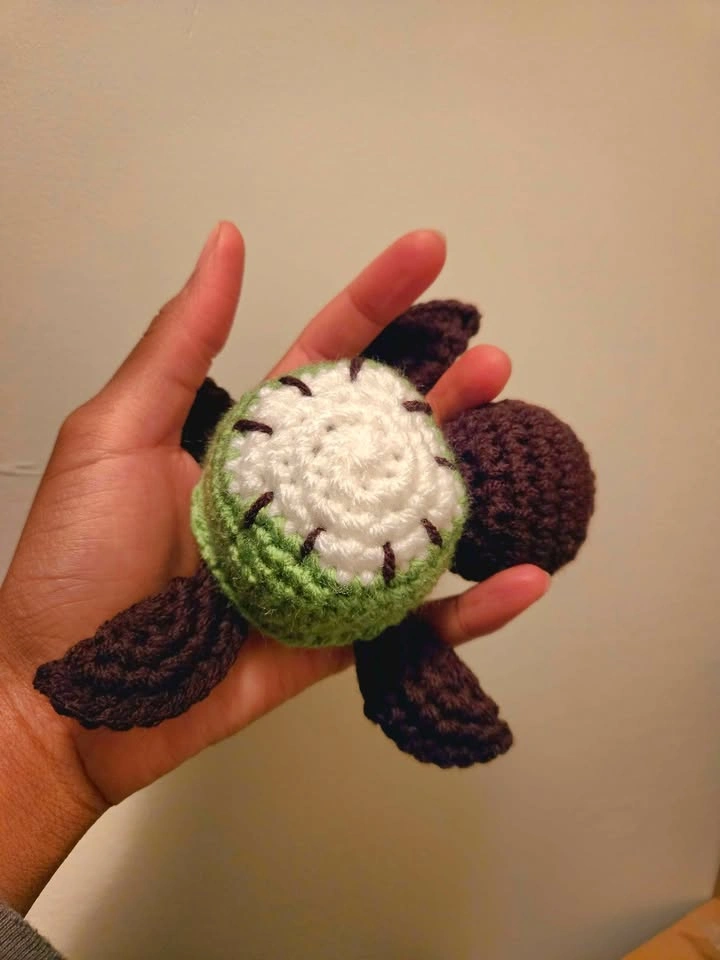 Kiwi Turtle 🌱 - photo 2