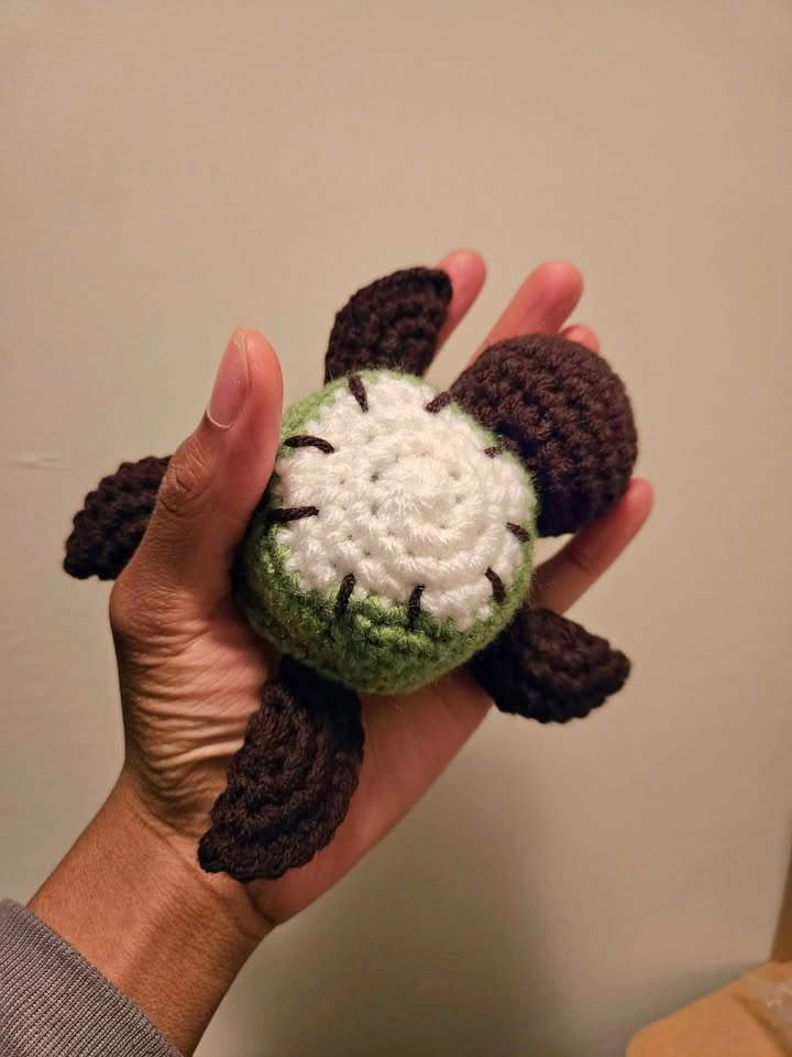 Kiwi Turtle 🌱 - photo 3
