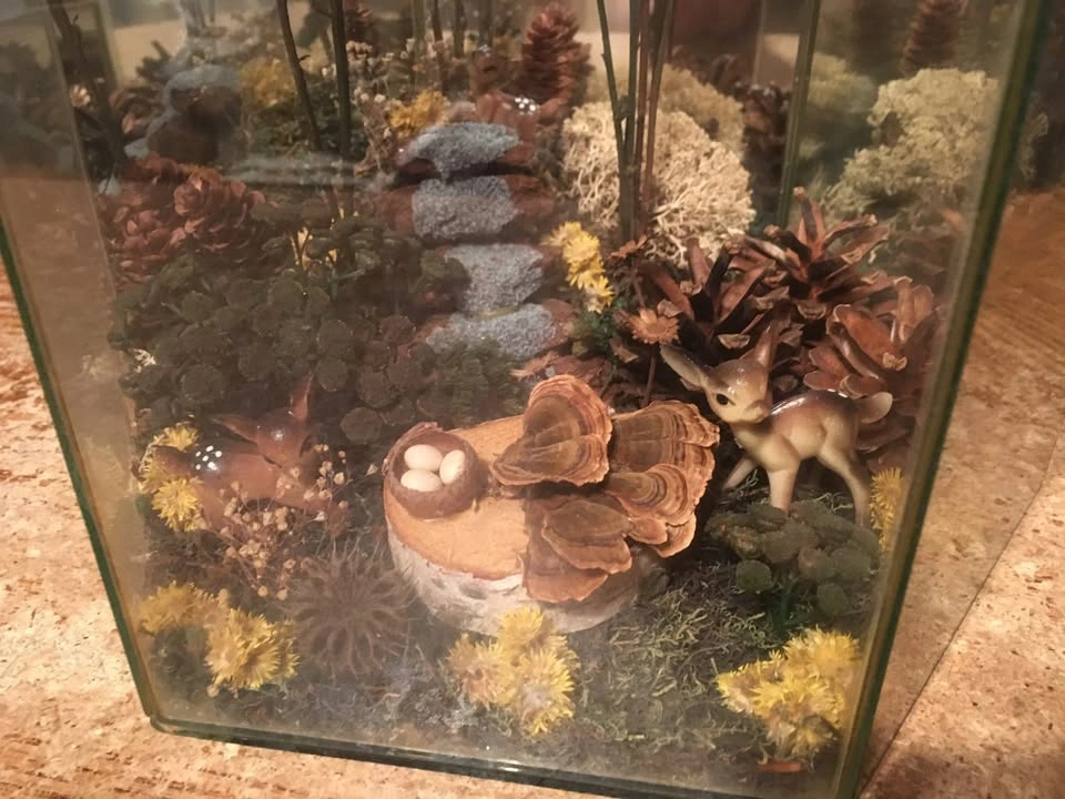 VINTAGE HANDMADE GLASS ATRIUM WITH DIORAMA OF LANDSCAPE FOREST P - photo 2