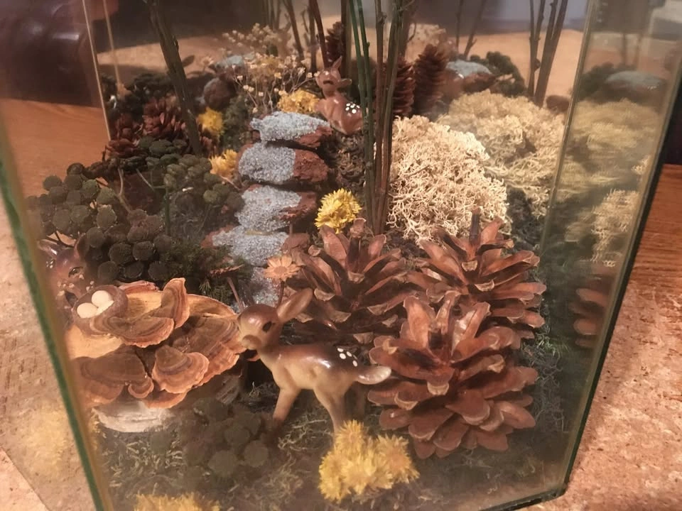 VINTAGE HANDMADE GLASS ATRIUM WITH DIORAMA OF LANDSCAPE FOREST P - photo 3