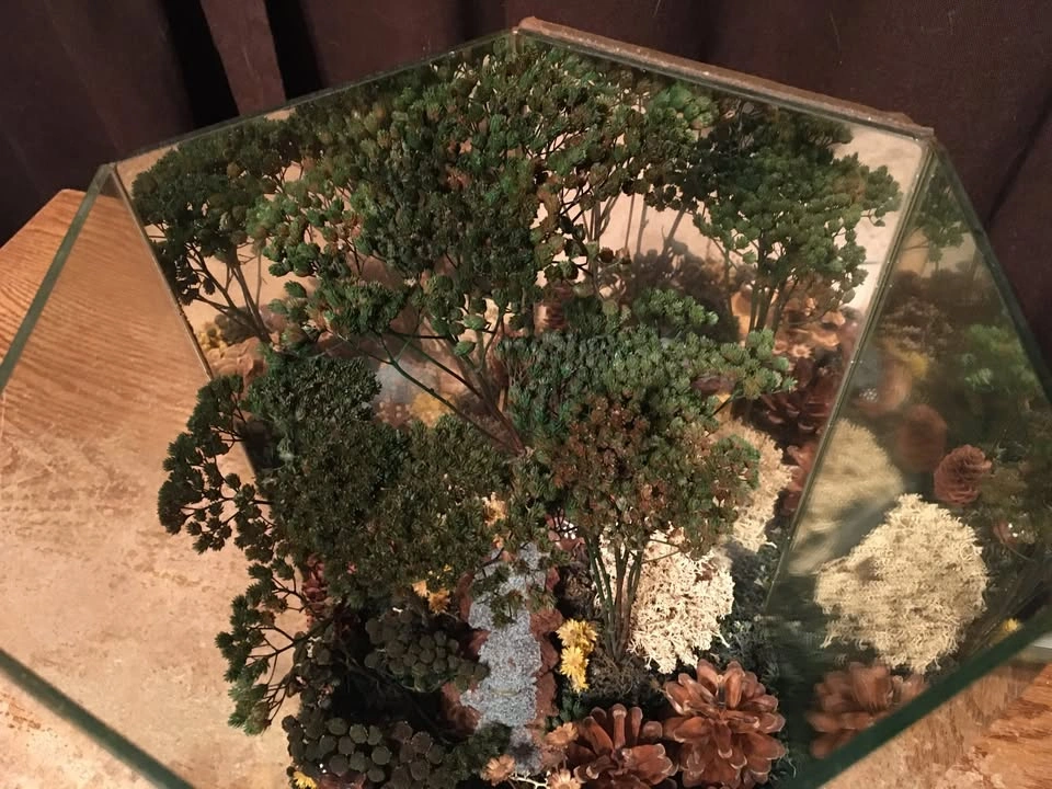 VINTAGE HANDMADE GLASS ATRIUM WITH DIORAMA OF LANDSCAPE FOREST P - photo 4