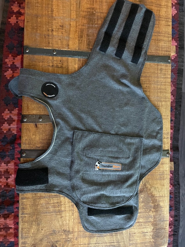 dog thundershirt