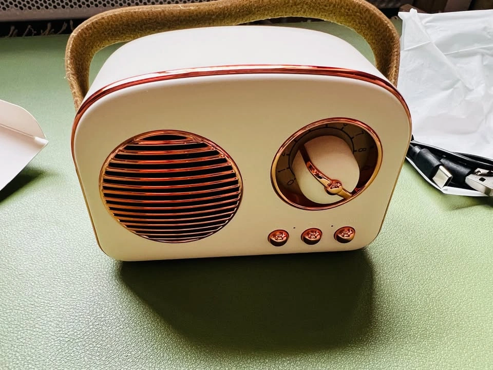 Retro Portable Wireless Speaker T20 White Rose Gold - photo 5