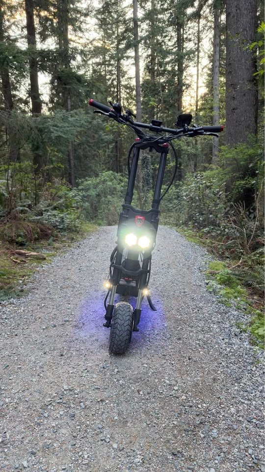 Kaabo Wolf King GTR Electric Scooter