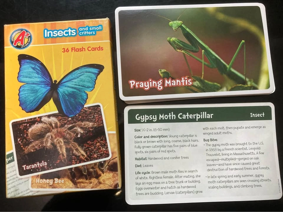 Flash Cards: Subtraction, Multiplication, Division, Addition, In - photo 3