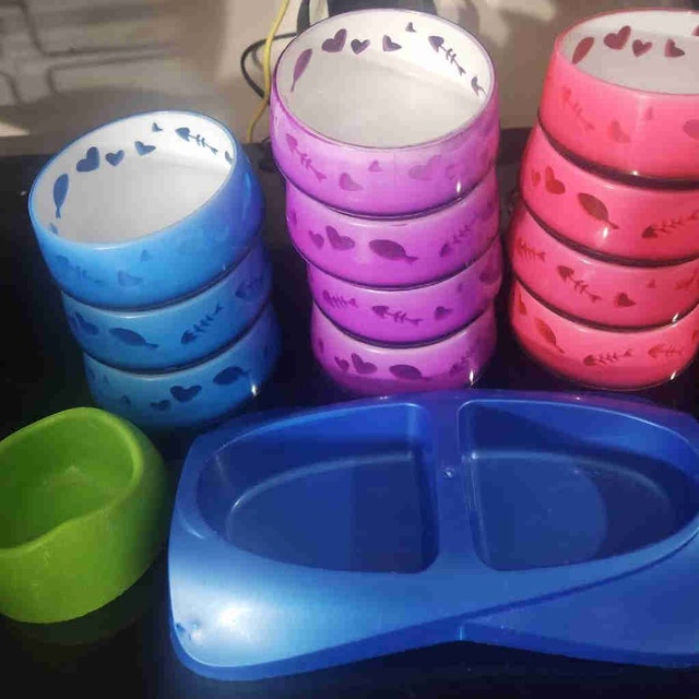 Pet Food/Water Bowls