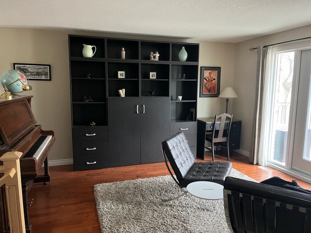 Living room shelving