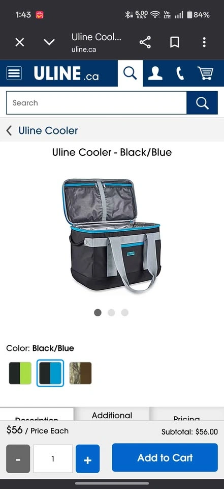 Uline Cooler Bag Moving Out Sale - photo 4