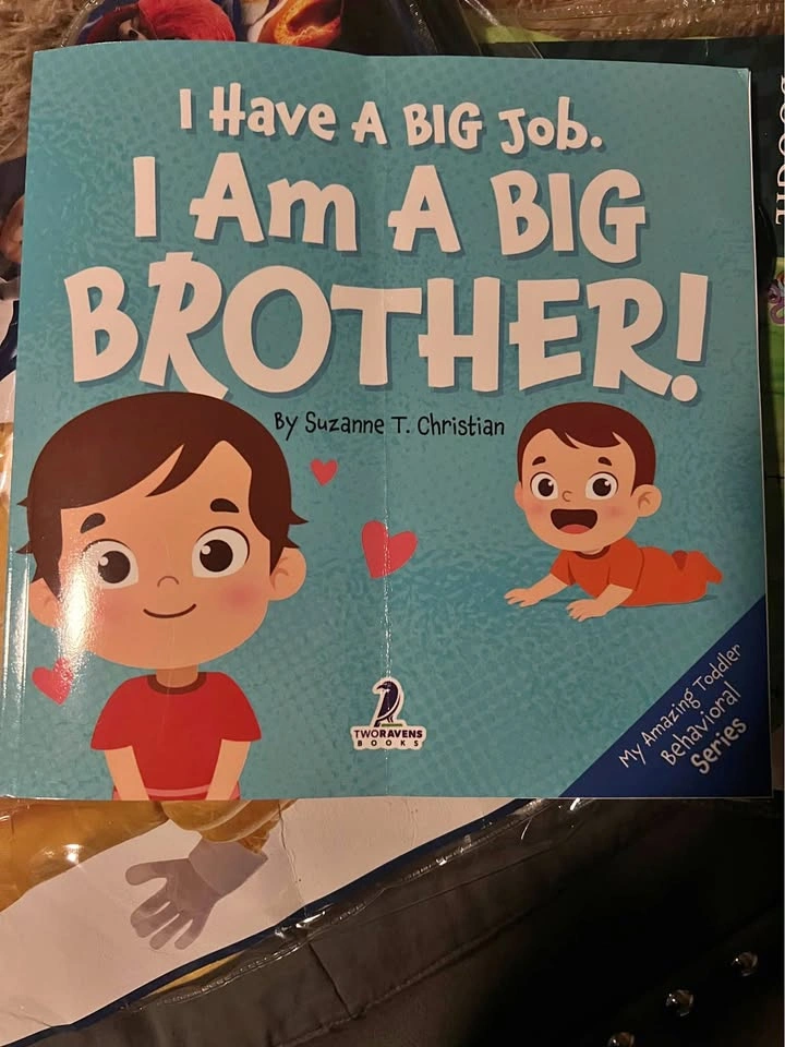 I Am a Big Brother Book