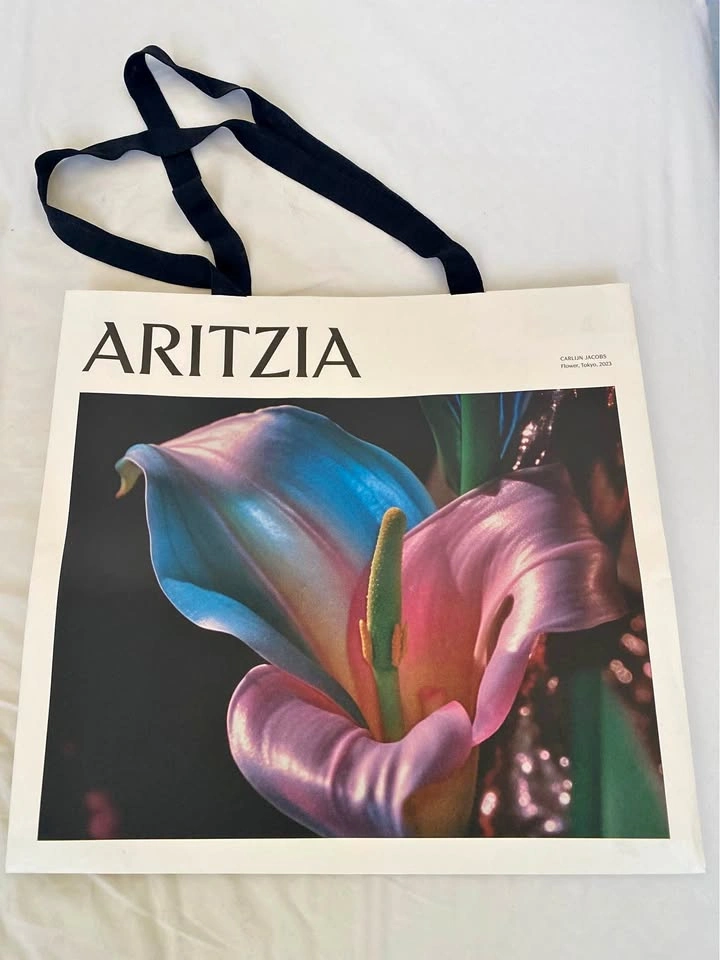 Aritzia Bag