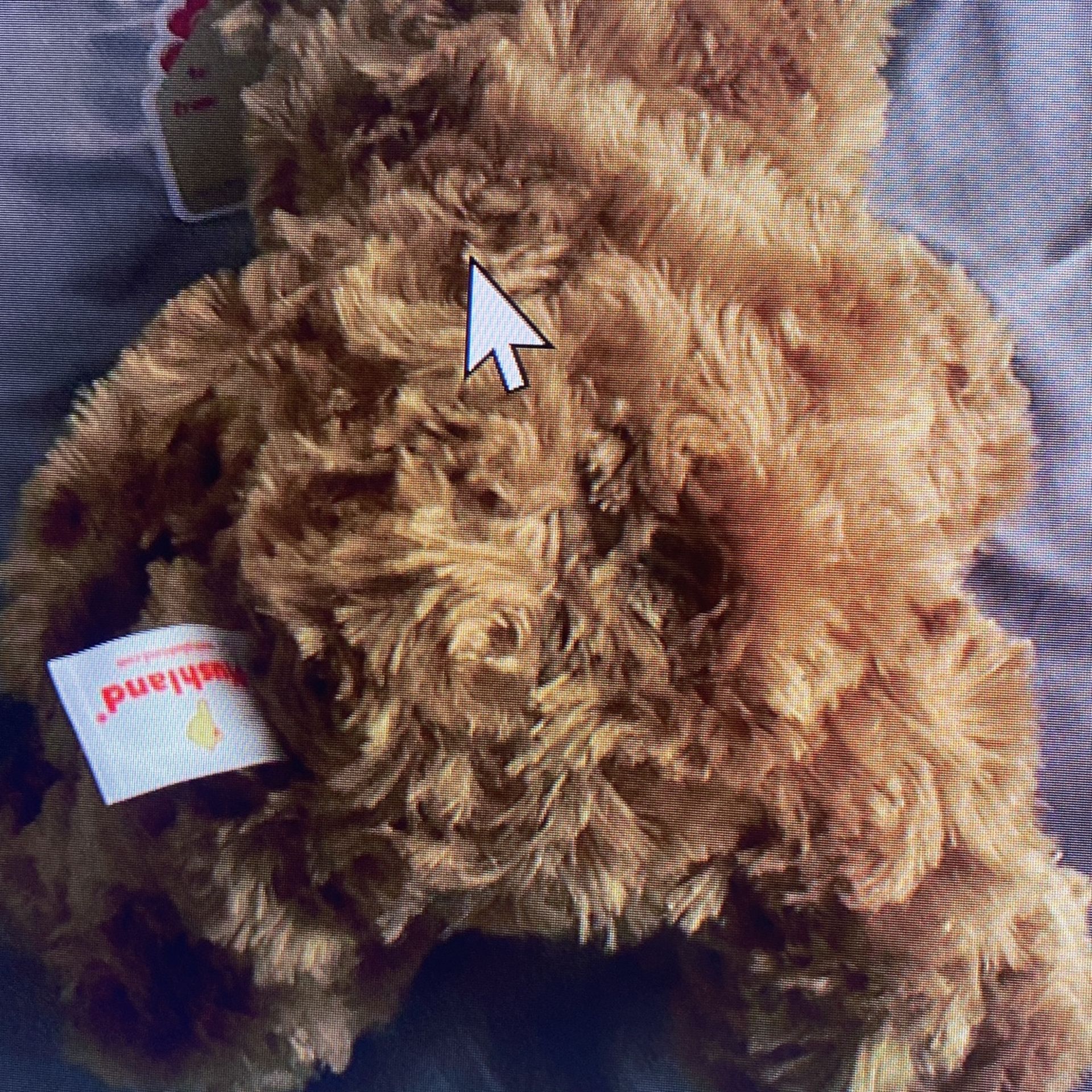 Medium Brown Teddy Bear Holden Love You, Heart - photo 2