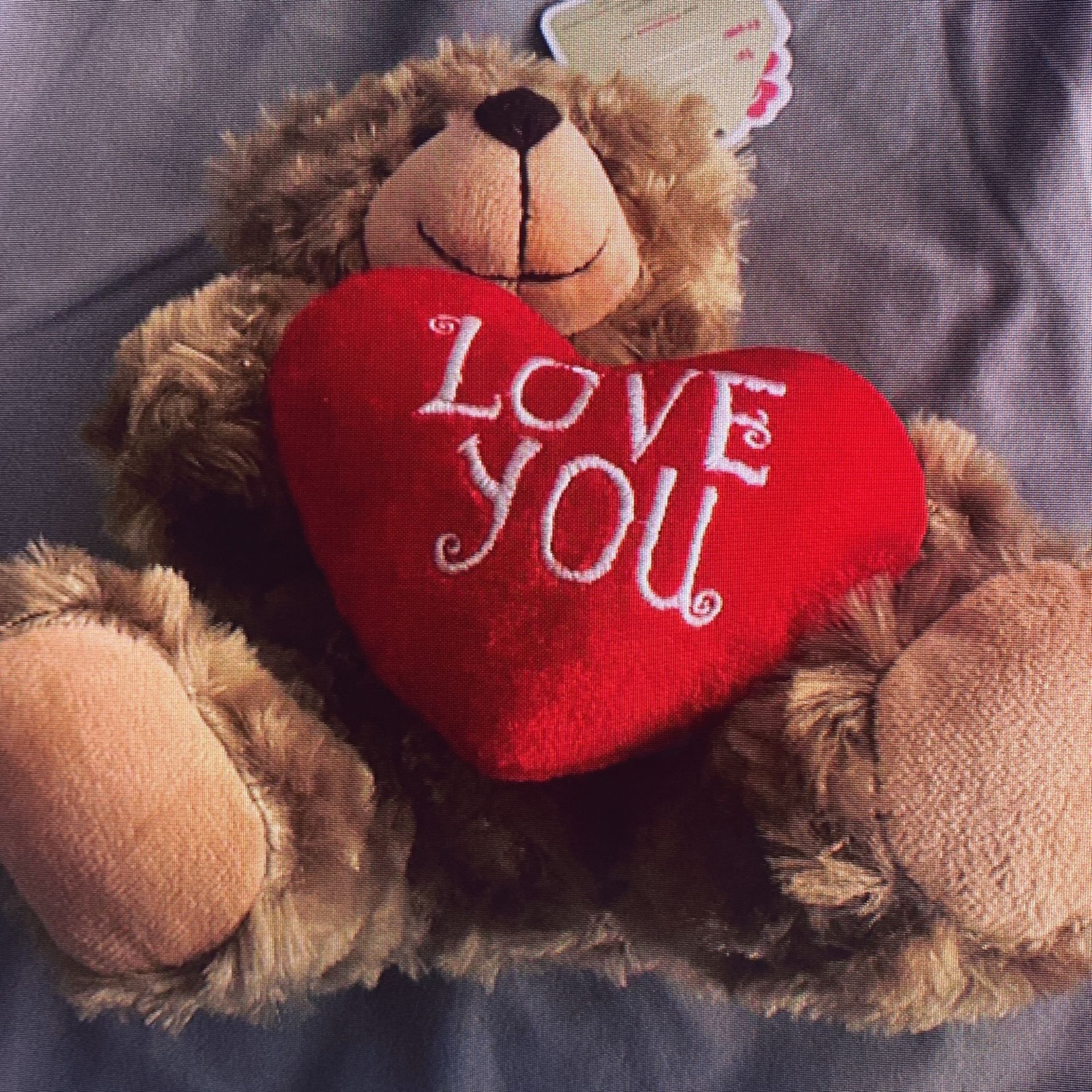 Medium Brown Teddy Bear Holden Love You, Heart - photo 4