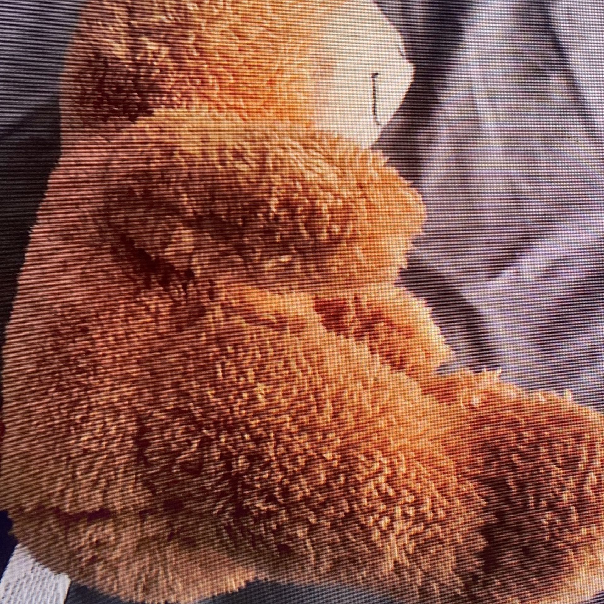 Light Brown Teddy Bear 10 Inches Tall - photo 2