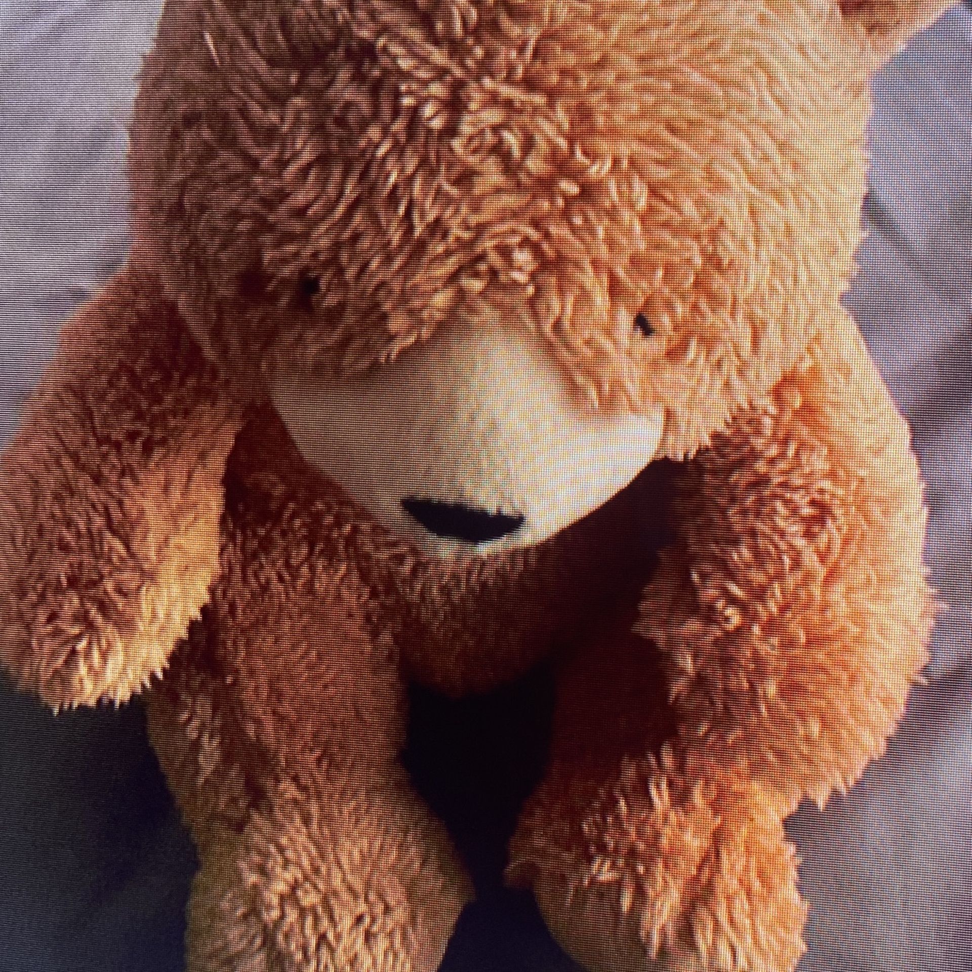 Light Brown Teddy Bear 10 Inches Tall - photo 3