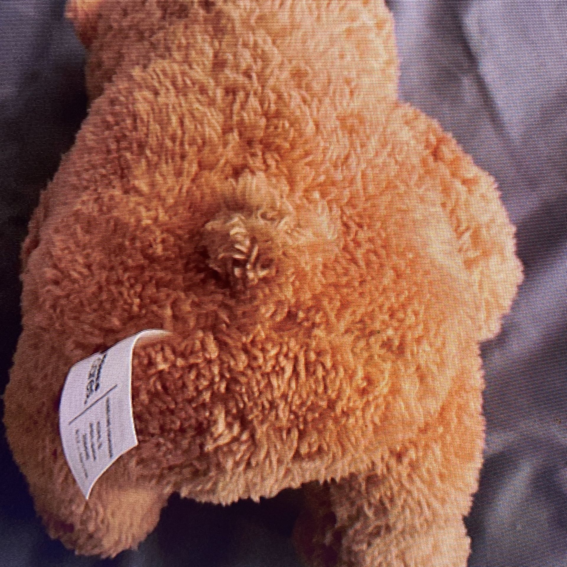 Light Brown Teddy Bear 10 Inches Tall - photo 4