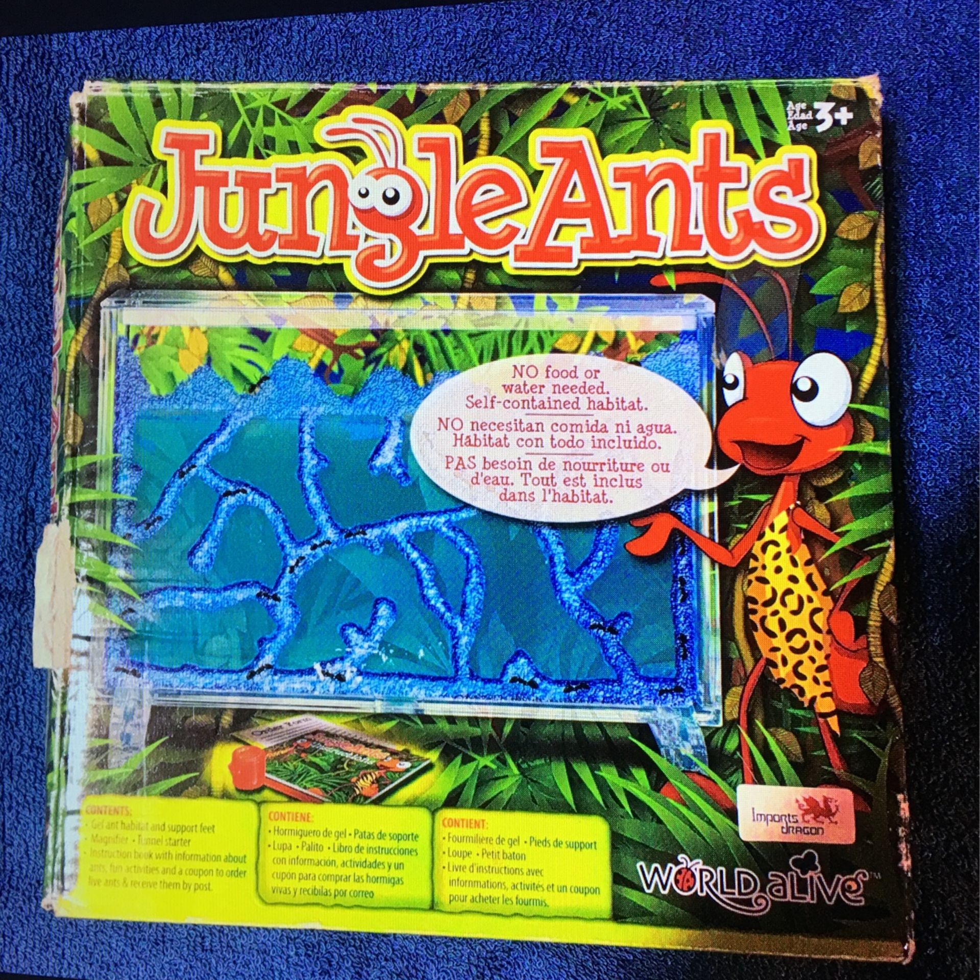 Jungle Ants