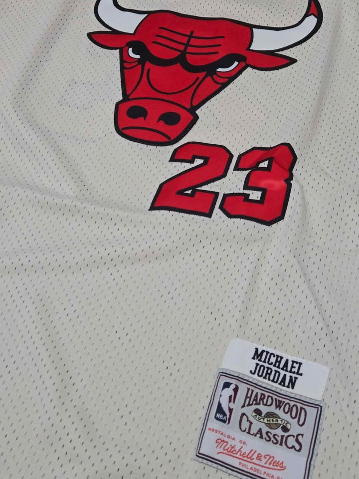#23 MICHAEL JORDAN RETRO FINAL JERSEY - photo 3