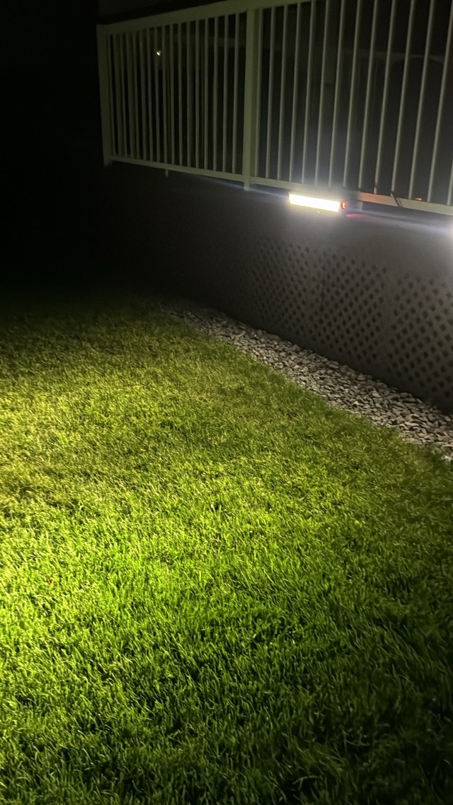 Outdoor Lights