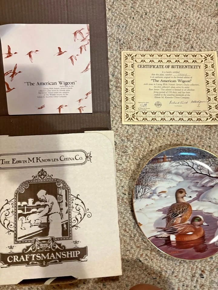 Living With Nature - Ducks Plate collection