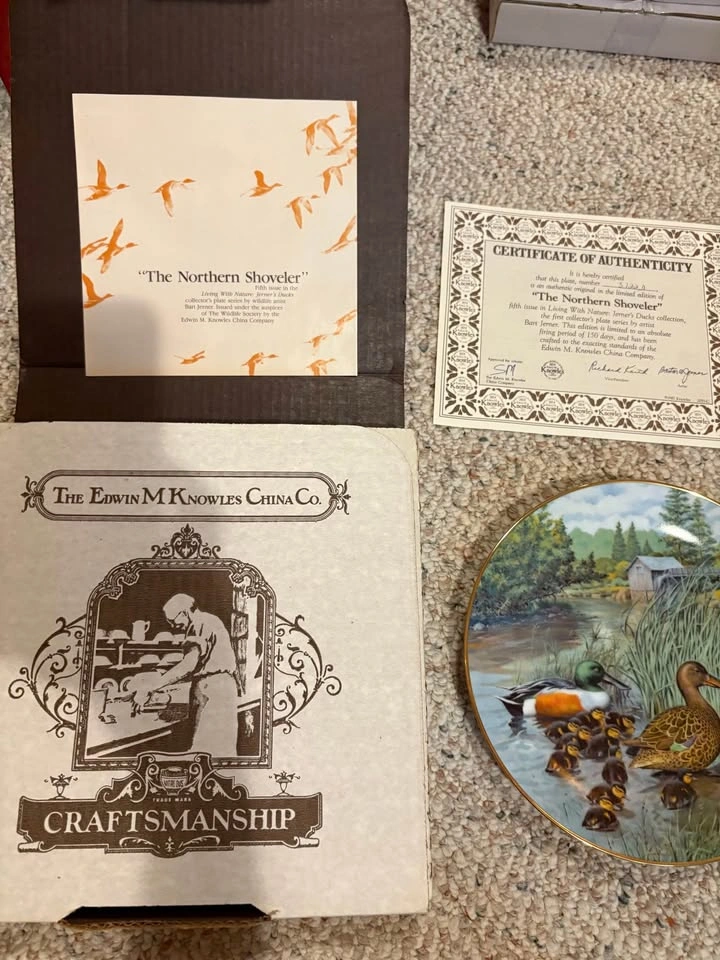 Living With Nature - Ducks Plate collection - photo 2