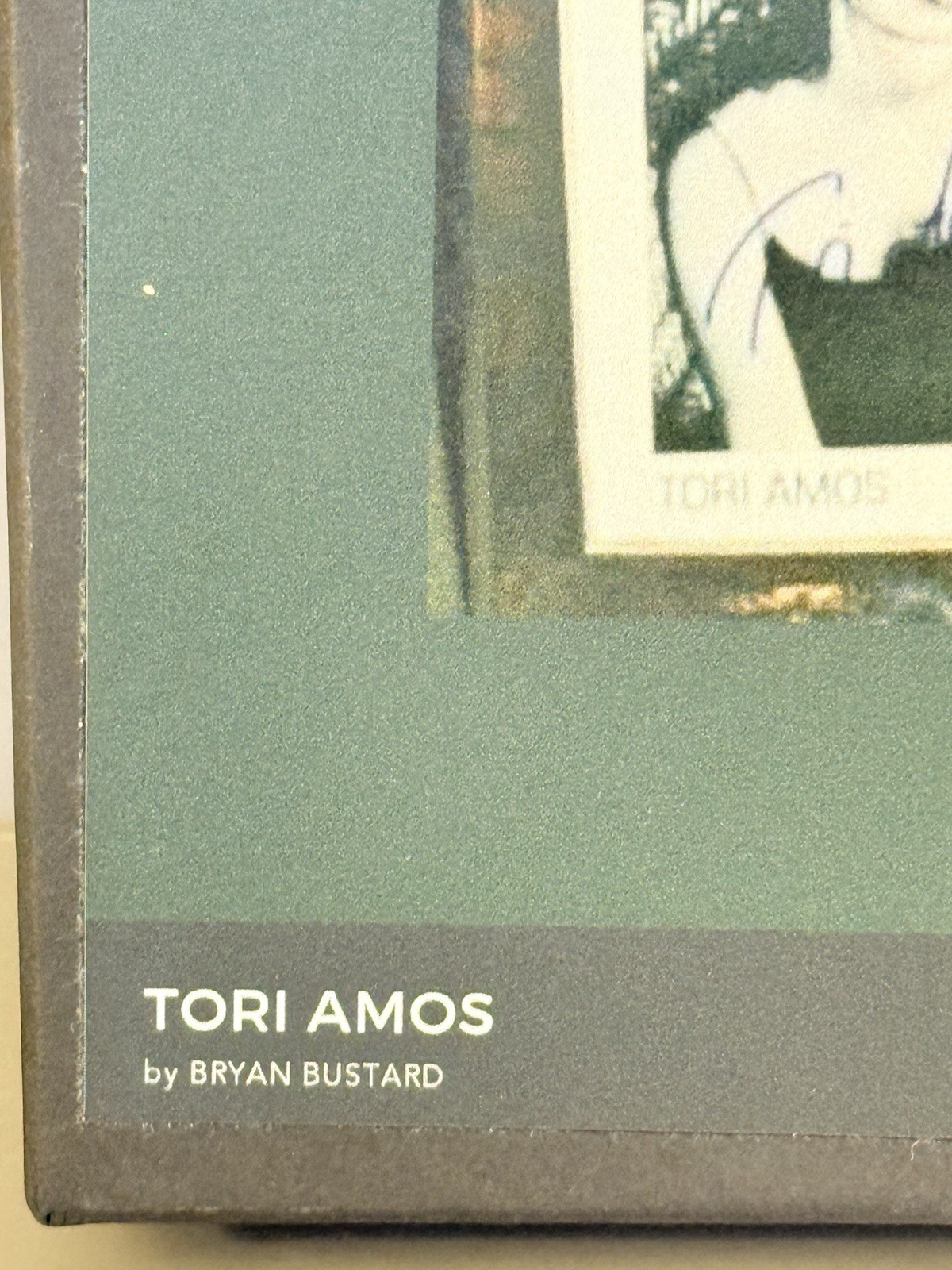 Tori Amos Jigsaw Puzzle Custom Made 500 Pieces ~1 Inch - photo 3