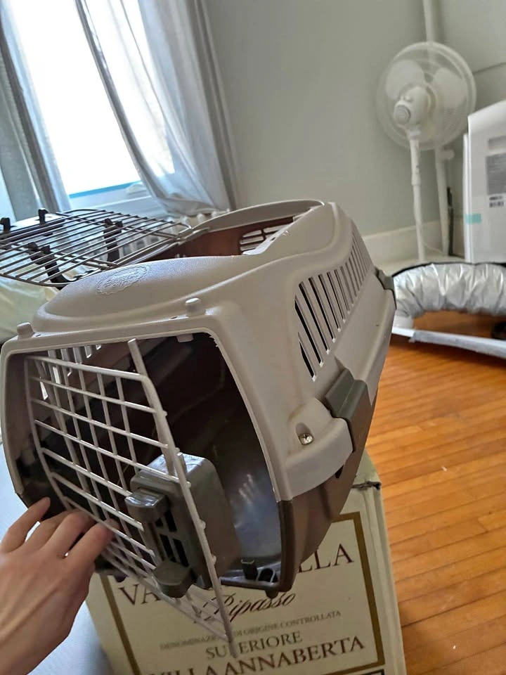 Small pet carrier