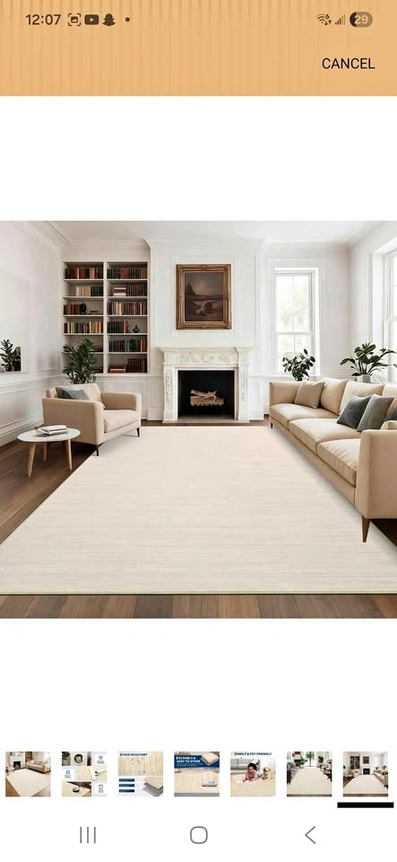 8x10 Living Area Rug