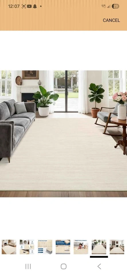 8x10 Living Area Rug - photo 2